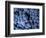 Arroye Grande, California: a Central Coast Winery-Ian Shive-Framed Photographic Print