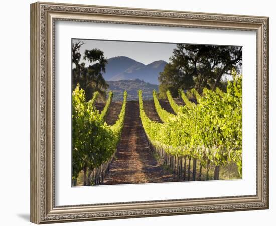 Arroye Grande, California: a Central Coast Winery-Ian Shive-Framed Photographic Print