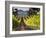 Arroye Grande, California: a Central Coast Winery-Ian Shive-Framed Photographic Print