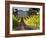 Arroye Grande, California: a Central Coast Winery-Ian Shive-Framed Photographic Print