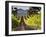 Arroye Grande, California: a Central Coast Winery-Ian Shive-Framed Photographic Print