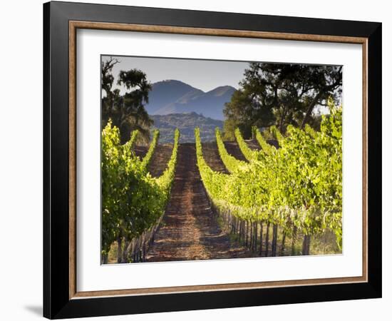 Arroye Grande, California: a Central Coast Winery-Ian Shive-Framed Photographic Print