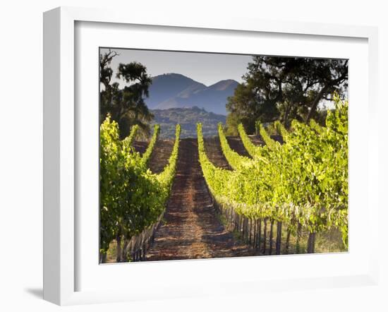 Arroye Grande, California: a Central Coast Winery-Ian Shive-Framed Photographic Print