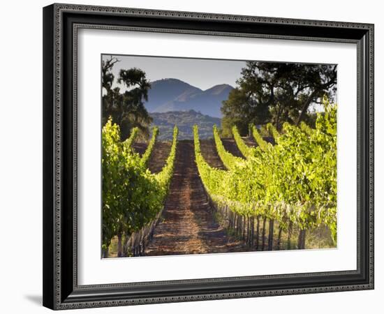 Arroye Grande, California: a Central Coast Winery-Ian Shive-Framed Photographic Print