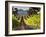 Arroye Grande, California: a Central Coast Winery-Ian Shive-Framed Photographic Print