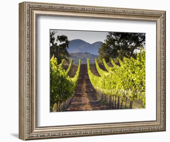 Arroye Grande, California: a Central Coast Winery-Ian Shive-Framed Photographic Print