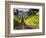 Arroye Grande, California: a Central Coast Winery-Ian Shive-Framed Photographic Print