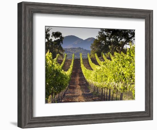 Arroye Grande, California: a Central Coast Winery-Ian Shive-Framed Photographic Print