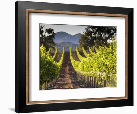 Arroye Grande, California: a Central Coast Winery-Ian Shive-Framed Photographic Print