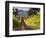 Arroye Grande, California: a Central Coast Winery-Ian Shive-Framed Photographic Print