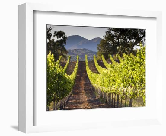 Arroye Grande, California: a Central Coast Winery-Ian Shive-Framed Photographic Print