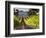 Arroye Grande, California: a Central Coast Winery-Ian Shive-Framed Photographic Print