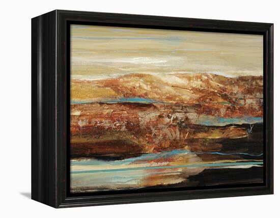 Arroyo I-Farrell Douglass-Framed Premier Image Canvas