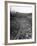 Arroyo Seco Parkway Which Shoots Traffic from Downtown L.A. Out to Pasadena-Loomis Dean-Framed Photographic Print