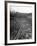 Arroyo Seco Parkway Which Shoots Traffic from Downtown L.A. Out to Pasadena-Loomis Dean-Framed Photographic Print