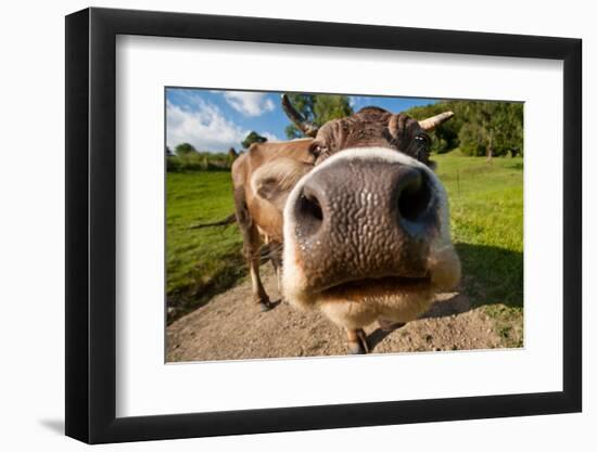 Photographic Print, , large