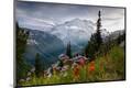 Premium Photographic Print