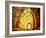 Art Across The Golden River-Megan Aroon Duncanson-Framed Art Print