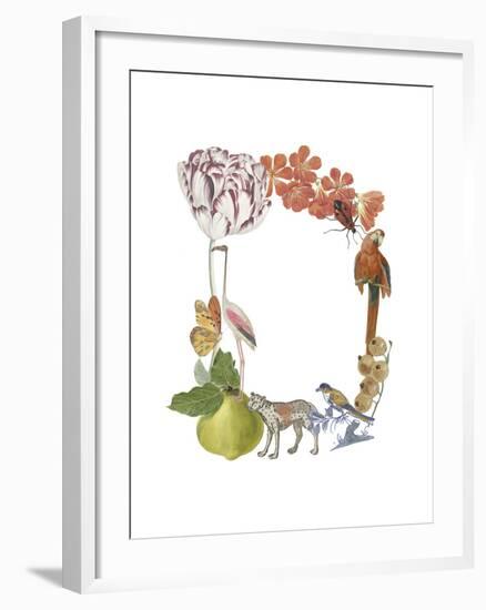 Art Alphabet - D-Joelle Wehkamp-Framed Giclee Print