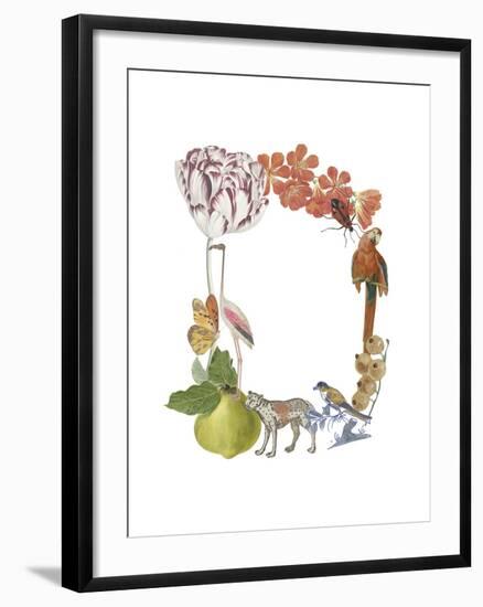 Art Alphabet - D-Joelle Wehkamp-Framed Giclee Print