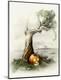 Premium Giclee Print
