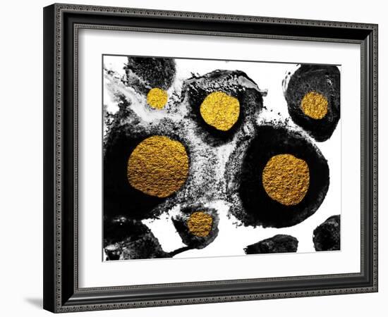 Art and Gold. Natural Luxury. Black Paint Stroke Texture on White Paper. Abstract Hand Painted Gold-CARACOLLA-Framed Art Print