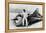 Art Arfons with 'Green Monster' Land Speed Record Car, C1966-null-Framed Premier Image Canvas