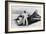 Art Arfons with 'Green Monster' Land Speed Record Car, C1966-null-Framed Photographic Print