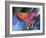 Art Chicken-Richard Wallich-Framed Giclee Print