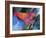 Art Chicken-Richard Wallich-Framed Giclee Print