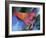 Art Chicken-Richard Wallich-Framed Giclee Print