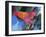 Art Chicken-Richard Wallich-Framed Giclee Print