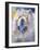 Art Chow-Richard Wallich-Framed Giclee Print