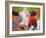 Art Cow-Richard Wallich-Framed Giclee Print