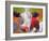 Art Cow-Richard Wallich-Framed Giclee Print