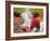 Art Cow-Richard Wallich-Framed Giclee Print