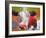 Art Cow-Richard Wallich-Framed Giclee Print