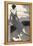 Art Deco Lady with Dog-Megan Meagher-Framed Stretched Canvas