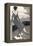 Art Deco Lady with Dog-Megan Meagher-Framed Stretched Canvas