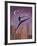 Art Deco Leap-Judy Mastrangelo-Framed Giclee Print