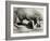 Art Deco Nude - 06-08-22-Corne Akkers-Framed Giclee Print