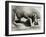 Art Deco Nude - 06-08-22-Corne Akkers-Framed Giclee Print