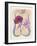 Art Deco Petunias-Judy Mastrangelo-Framed Giclee Print