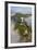 Art Deco Statue of Jesus,On Corcovado Mountain, Rio de Janeiro, Brazil-Peter Adams-Framed Photographic Print