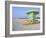 Art Deco Style Lifeguard Hut, South Beach, Miami Beach, Miami, Florida, USA-Gavin Hellier-Framed Photographic Print