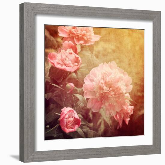 Art Floral Vintage Background with Pink Peonies-Irina QQQ-Framed Art Print