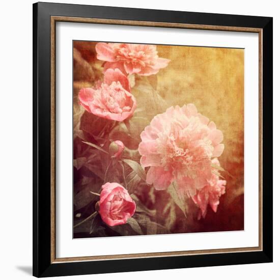 Art Floral Vintage Background with Pink Peonies-Irina QQQ-Framed Art Print