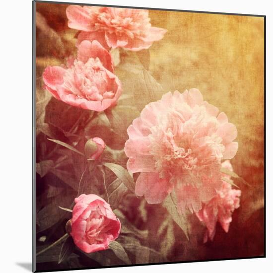 Art Floral Vintage Background with Pink Peonies-Irina QQQ-Mounted Art Print