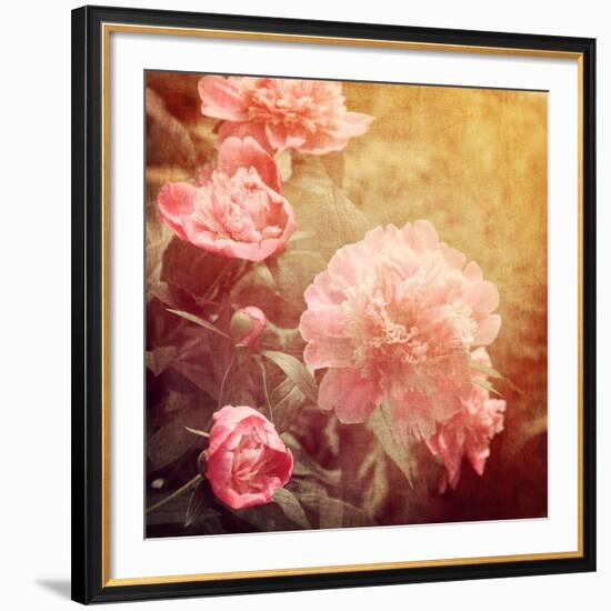 Art Floral Vintage Background with Pink Peonies-Irina QQQ-Framed Art Print