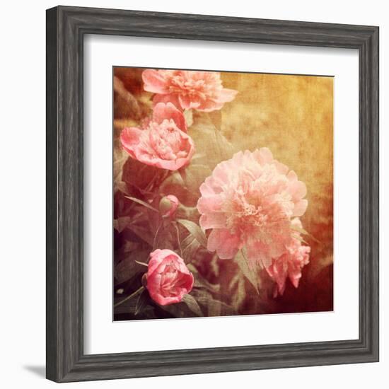 Art Floral Vintage Background with Pink Peonies-Irina QQQ-Framed Art Print